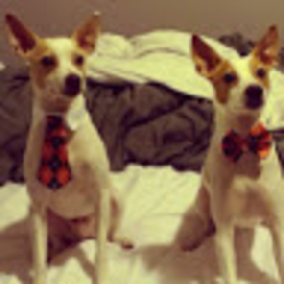 Meet your Posher, Christina - Picture 1 of 1